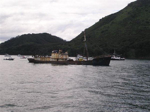 SeaFire 44meter fishing vessel sunk off Whakatane 2